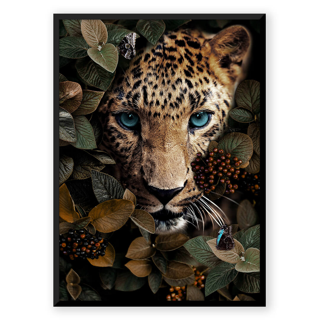 Animal Kingdom